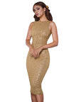 Catalina Sequins Backless Dress