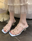 Camila Rivet Transparent Heels