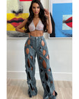 Aspen Hollow Cut Out Denim Pants