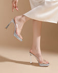 Celine Chic Transparent High Heels